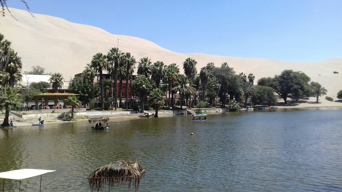 Huacachina Oasis