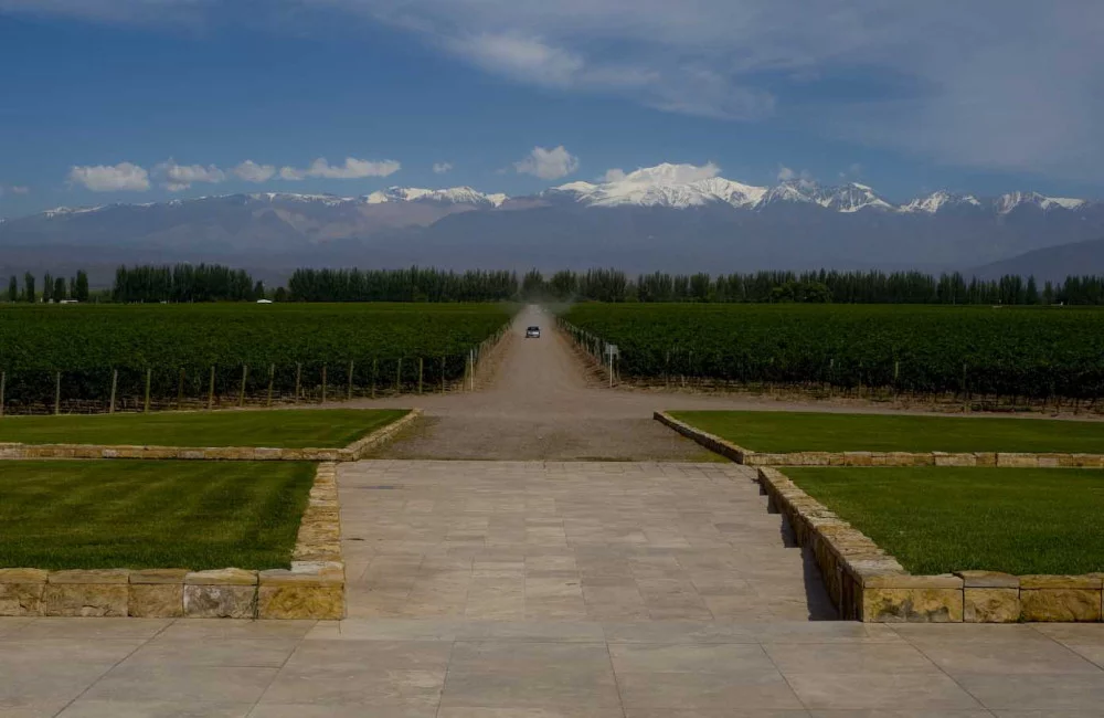 Ruta del Vino (Luján de Cuyo y Maipú)