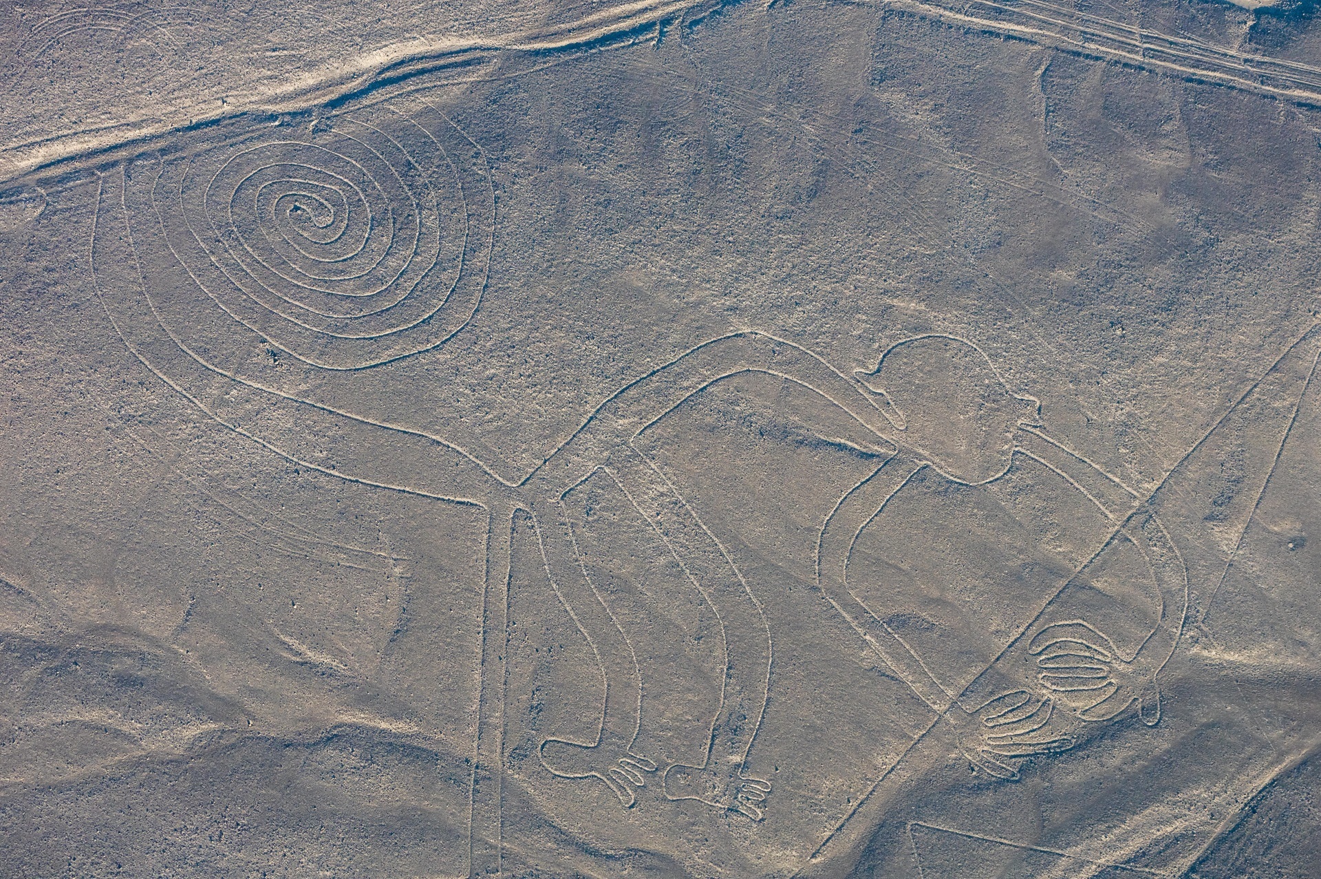 Discover the Mystery of Peru’s Ancient Desert Lines