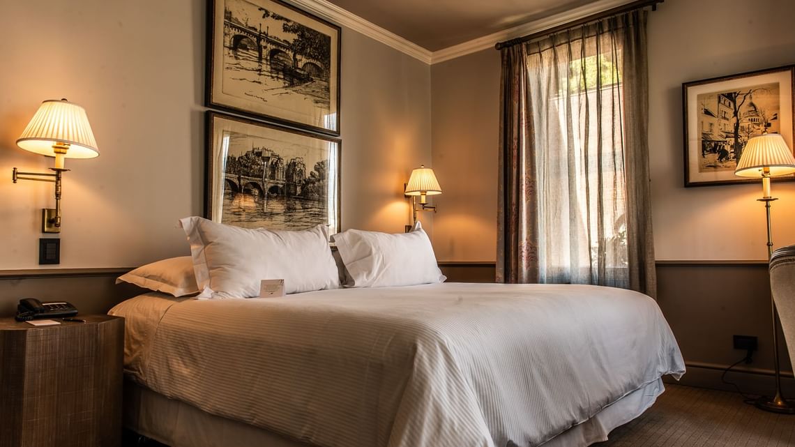 Singular Suite - Image 1